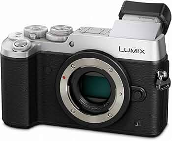 61yN7u3guNL._AC_UF350,