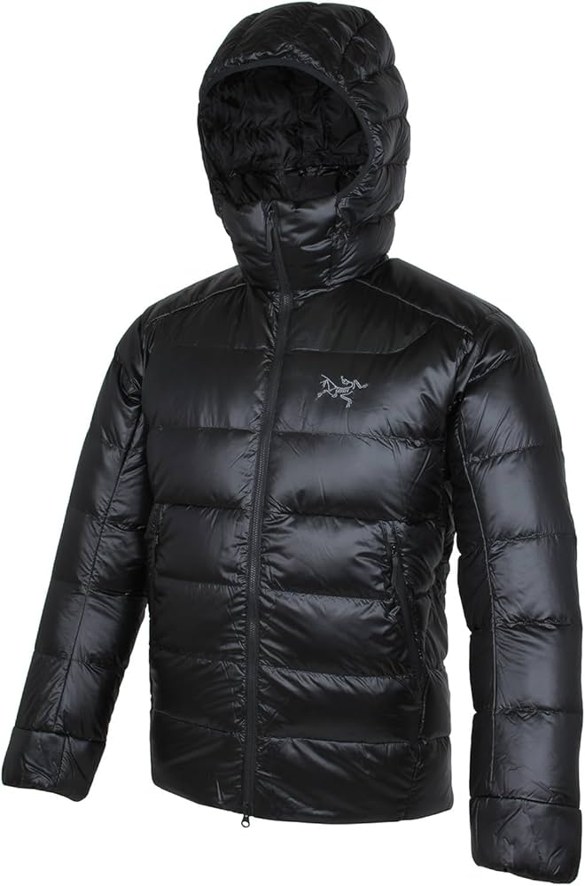 Amazon.co.jp: [アークテリクス] セリウム SV フーディ メンズ