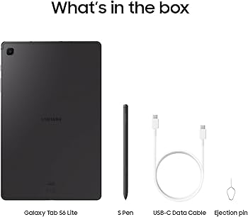 Amazon.com : Samsung Galaxy Tab S6 Lite (2024) 10.4