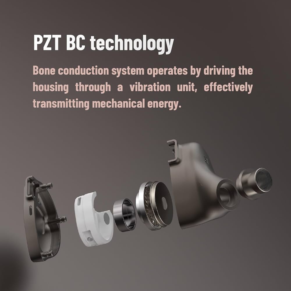 Amazon.co.jp: BQEYZ Winter2 インイヤーモニター 有線イヤホン DD+BC