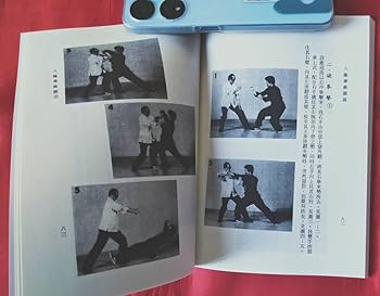 Amazon.co.jp: 中国語書籍 八極拳術図説 劉雲樵 香港 功夫 中国武術