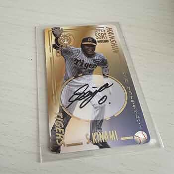 61zv6nzER8L._AC_UF350,