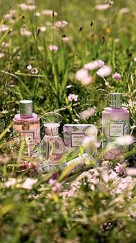 Amazon.co.jp: ロクシタン(L'OCCITANE) エルバブランシュ オードトワレ