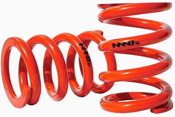 Amazon.co.jp: MAQs: SPRING