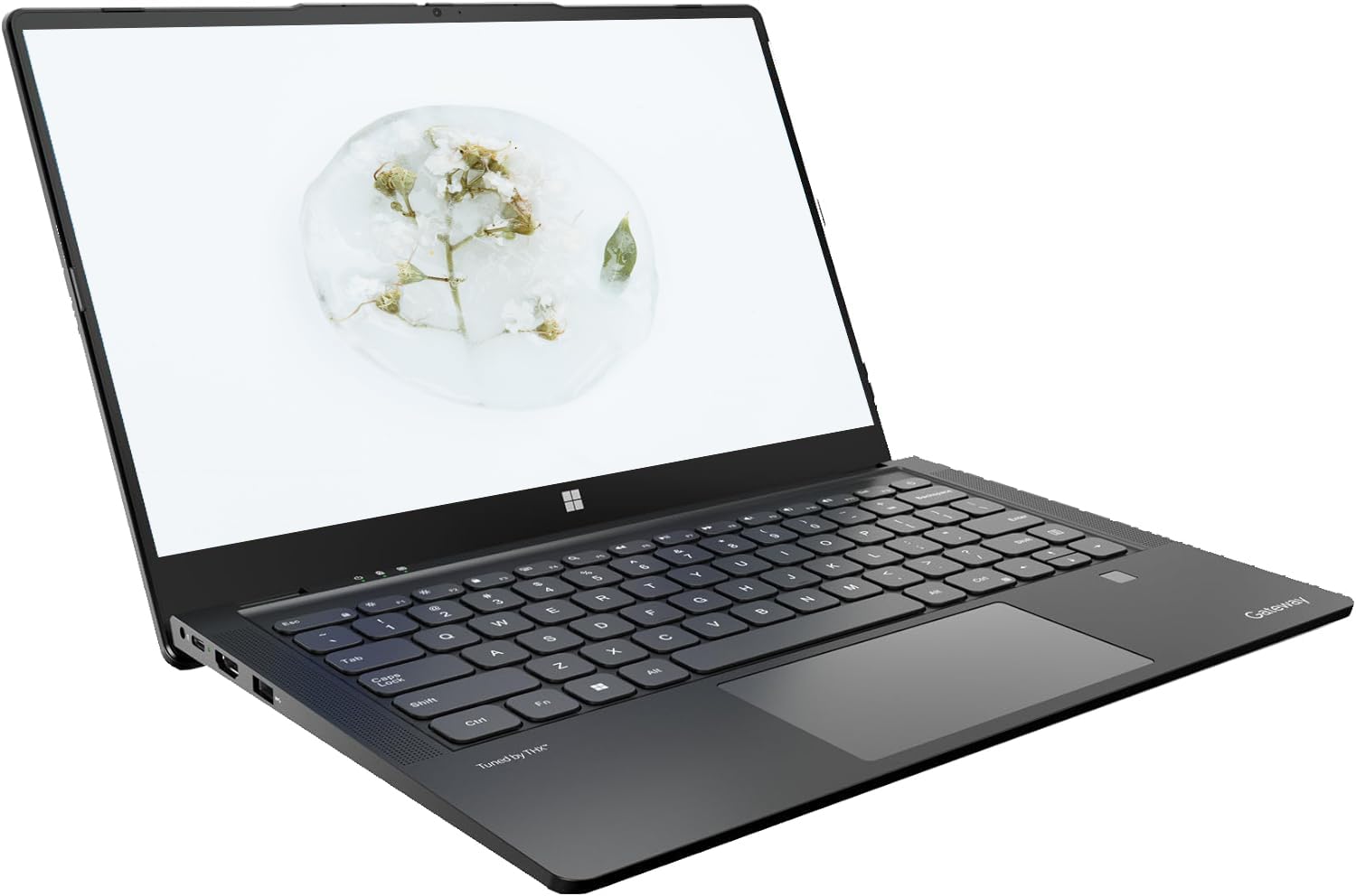 Amazon.com: Gateway 2024 13.8'' Full HD IPS Multi-Touch Laptop