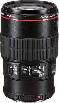 Amazon.com : Canon EF 100mm f/2.8L Macro is USM Lens (3554B002