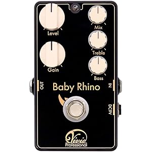 Vivie Coral Choir - バリエーション豊かなサウンドメイクが可能となっ