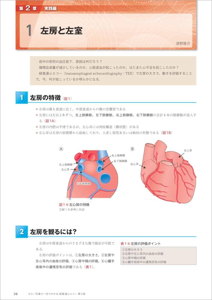 カラー写真で一目でわかる 経食道心エコー 第3版〜撮り方、診かたの