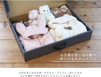 Amazon｜東洋ケース CRAFT+ メモリアル収納ボックス 2個組 W58.5 D44