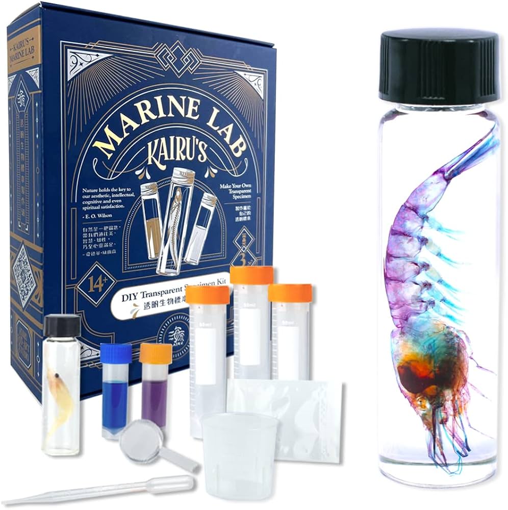 Amazon | DIY透明標本製作セット、エビ類 | 生物・動物・人体 | おもちゃ
