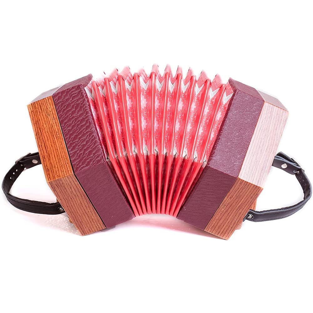 Amazon.co.jp: 30ボタンコンサーティーナ、アマチュア初心者向けの教育