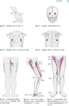 徒手による筋機能マネジメント 筋肉テストブック: 筋機能の診かた