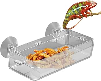 Amazon.co.jp: 爬虫類盆地 爬虫類餌皿 爬虫類 えさ皿 餌入れ 食器 S/L