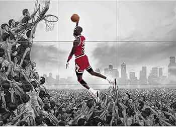 61CvC8bmCNL._AC_UF350,