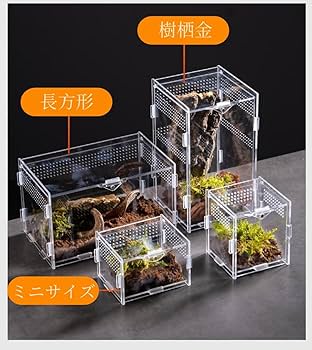 Amazon | haoyunjianjiak 爬虫類飼育箱 レプタイルボックス換気