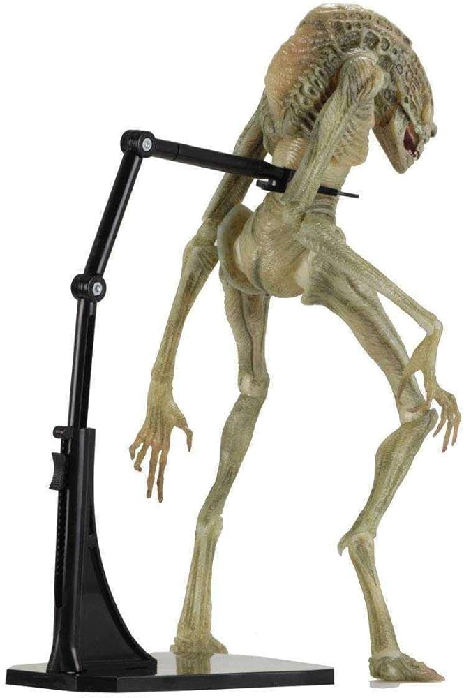 Amazon.co.jp: (ネカ) エイリアン4 7インチ デラックス アクション