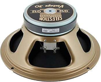 Amazon.com: Celestion Vintage 30 Guitar Speaker, 16 Ohm,Black