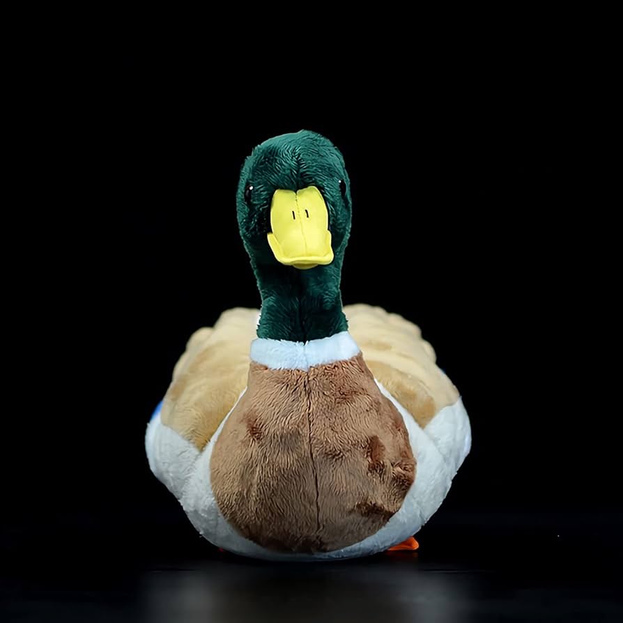 Amazon.com: Nohito Kawaii Realistic Mallard Duck Plush Stuffed