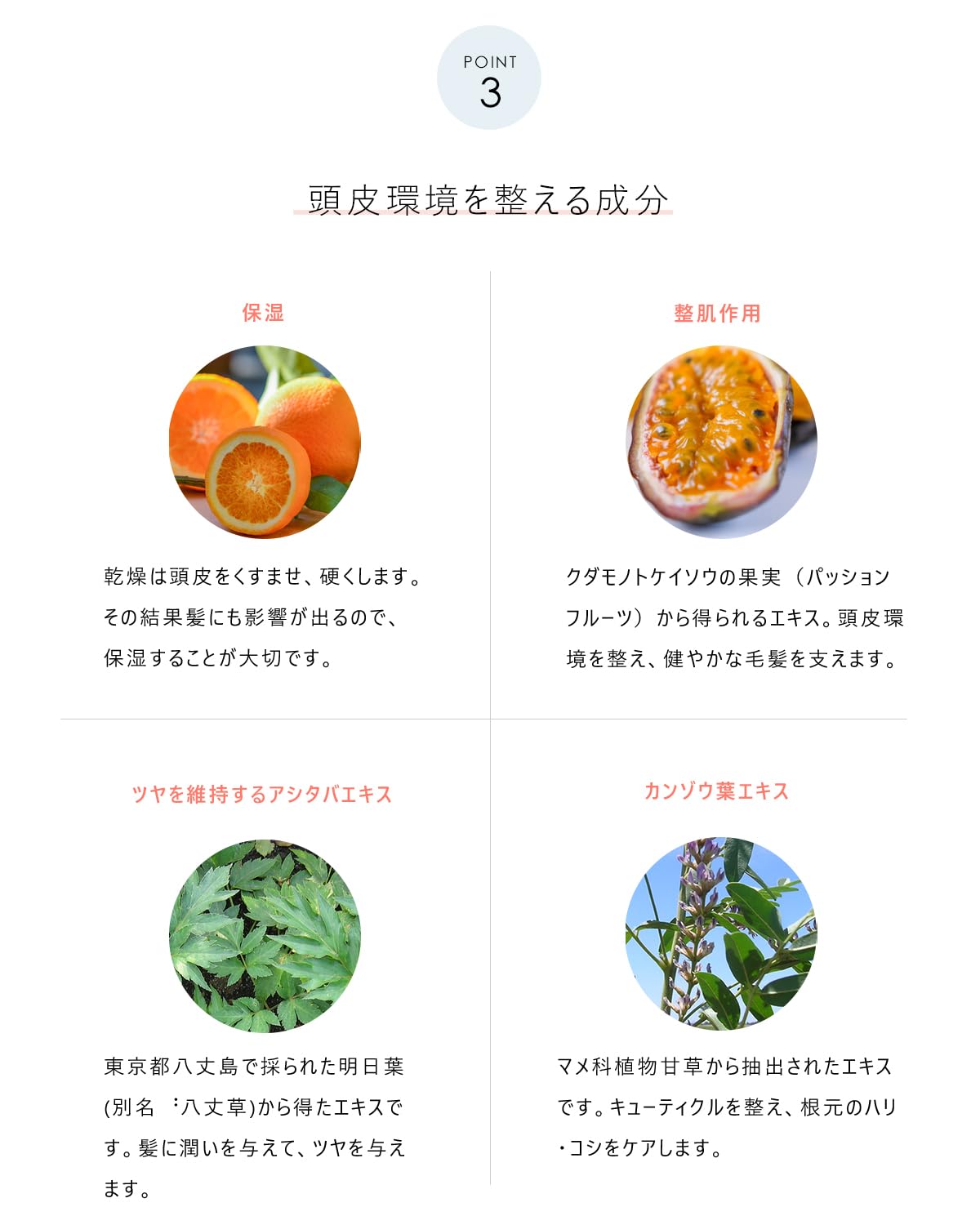 Amazon | MUKII THE serum shampoo セラム シャンプー 全包囲ケア