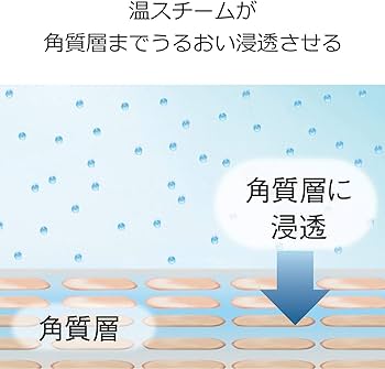 Amazon.co.jp: パナソニック スチーマー ナノケア コンパクトタイプ