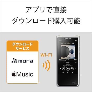 Amazon.co.jp: ソニー ウォークマン 64GB ZXシリーズ NW-ZX507