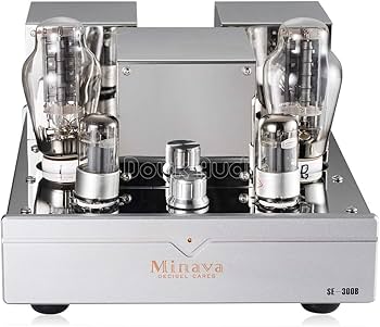 Amazon.co.jp: 300B シングルエンド 内蔵 真空管アンプ A級 HiFi