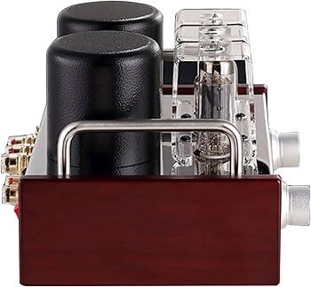 Amazon.co.jp: 6P14 / EL84 / A2 真空管アンプ シングルエンド クラスA