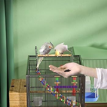 Amazon | Bxzzuis 鳥ケージ 鳥かご 大型インコ ケージ ステンレス鋼の