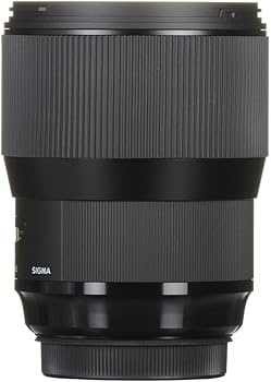Amazon.com : Sigma 135mm f/1.8 DG HSM Art Lens for Canon EF