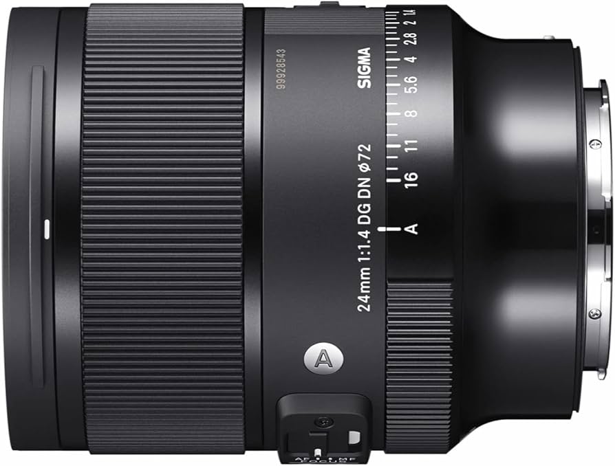 Amazon.com : Sigma 24mm F1.4 Art DG DN Lens for L Mount : Electronics