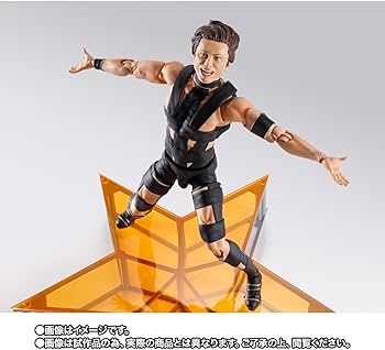 Amazon.co.jp: バンダイ(BANDAI) S.H.Figuarts T.M.Revolution 西川