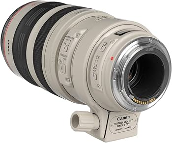 Amazon.com : Canon EF 100-400mm f/4.5-5.6L is USM Telephoto Zoom