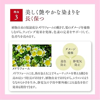 Amazon | 山田養蜂場 RJ ヘアカラートリートメント ライトブラウン