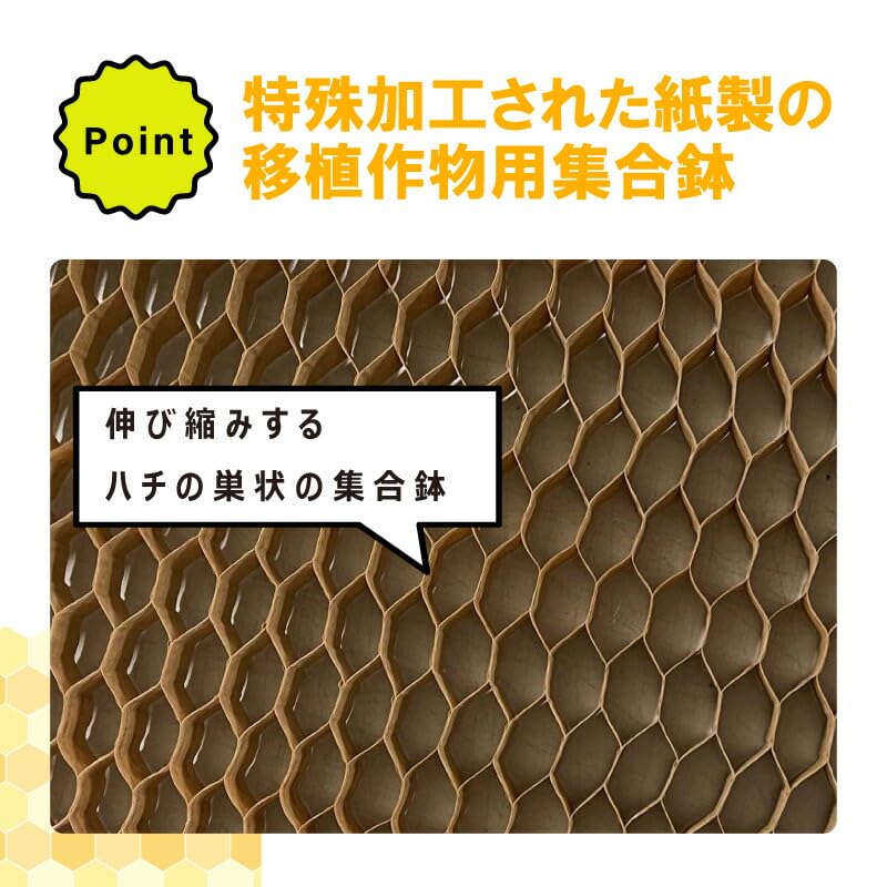 Amazon | ニッテン チェーンポット (150冊入) CP-303 | 鉢