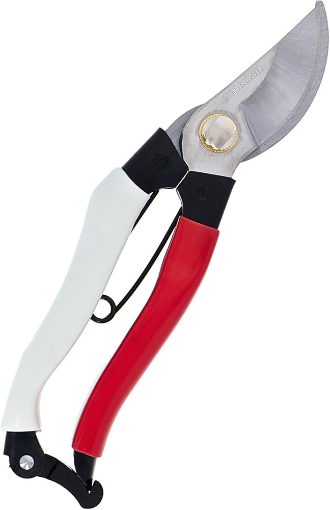 Amazon | 高儀(Takagi) 緑園 剪定鋏 200mm ステンレス サビに強い