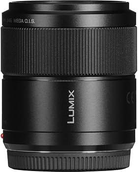 Amazon.com : Panasonic LUMIX G MACRO LENS, 30MM, F2.8 ASPH