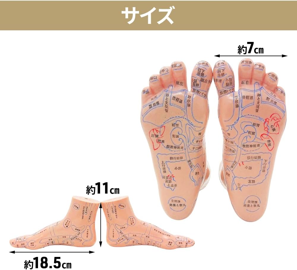 61IAuMu3EtL._AC_UF1000,