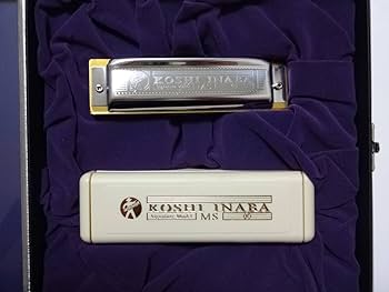 Amazon.co.jp: B'z稲葉浩志 日本人初シグネチャーモデル ブルース