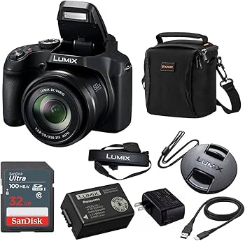 Amazon.com : Panasonic LUMIX FZ80D 18.1MP Point & Shoot Digital