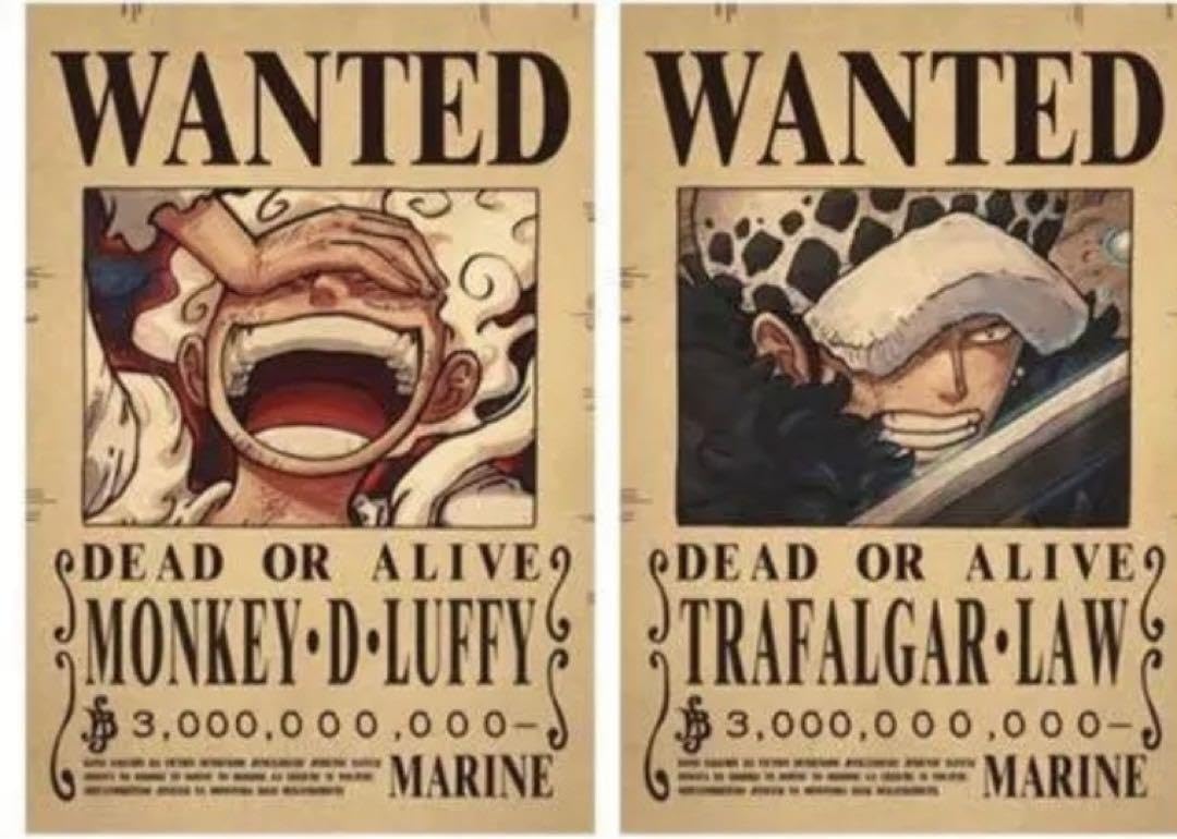 Amazon.co.jp: ワンピース ONEPIECE ニカルフィ 手配書 懸賞金ポスター