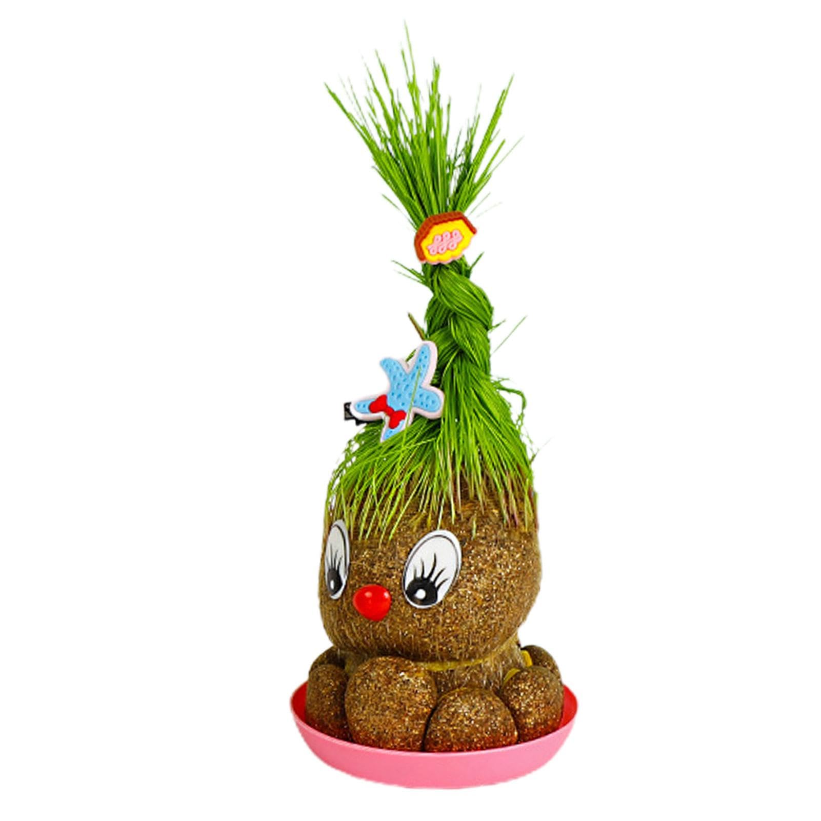 Amazon.co.jp: 鉢植えの頭草人形、草の頭を育てる植物、美しい鉢植えの