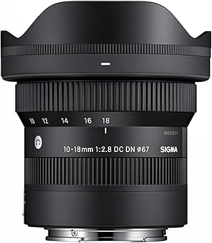 Amazon.co.jp: シグマ(Sigma) SIGMA シグマ Sony Eマウント レンズ 10
