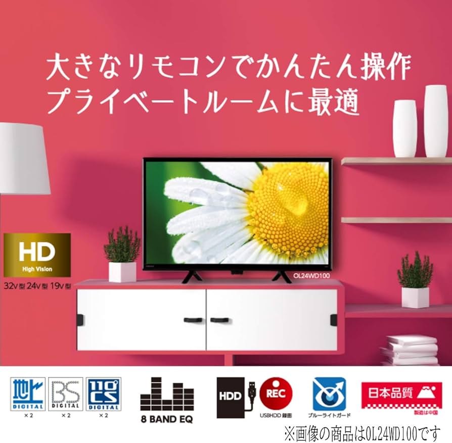 Amazon.co.jp: Orion OL32WD100 32 V Terrestrial BS, 110 Degree CS