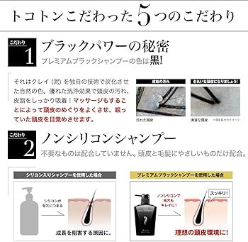 Amazon | &GINO 頭皮ケア プレミアムブラックシャンプー 400ml