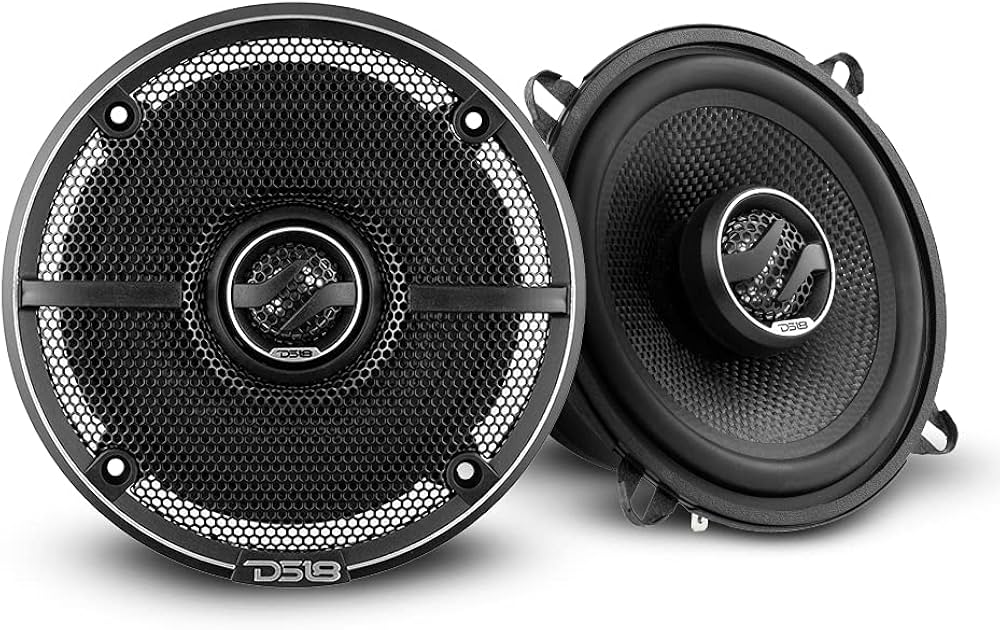 Amazon.com: DS18 ZXI-5254 5.25