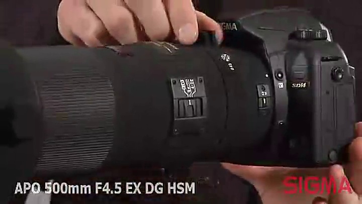 Amazon.com : Sigma 500mm f/4.5 EX DG IF HSM APO Telephoto Lens for