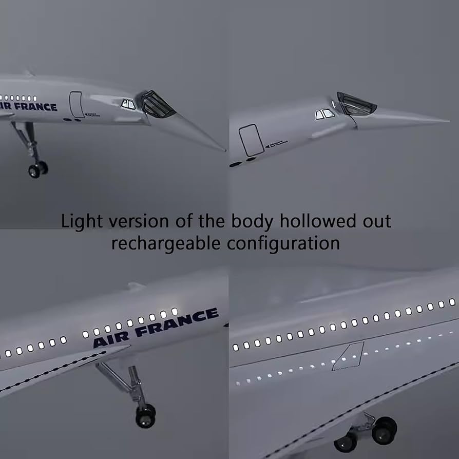 Amazon.co.jp: コンコルド 1:125 スケール 19.7 インチ 模擬完成品