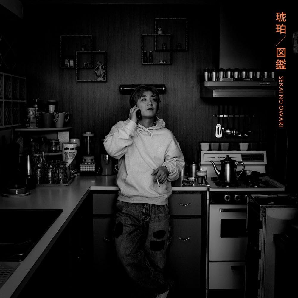 Amazon.co.jp: SEKAI NO OWARI : 【Amazon.co.jp限定】『琥珀／図鑑