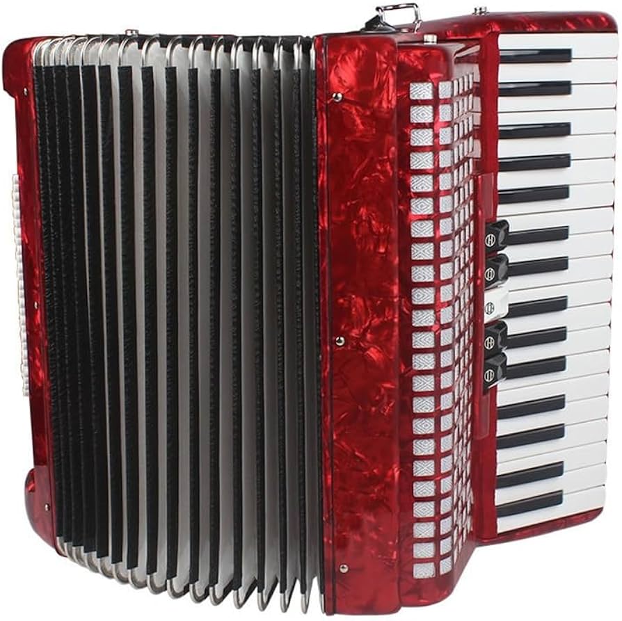 Amazon.co.jp: アコーディオン 48 ベース 34 キー プロの鍵盤楽器