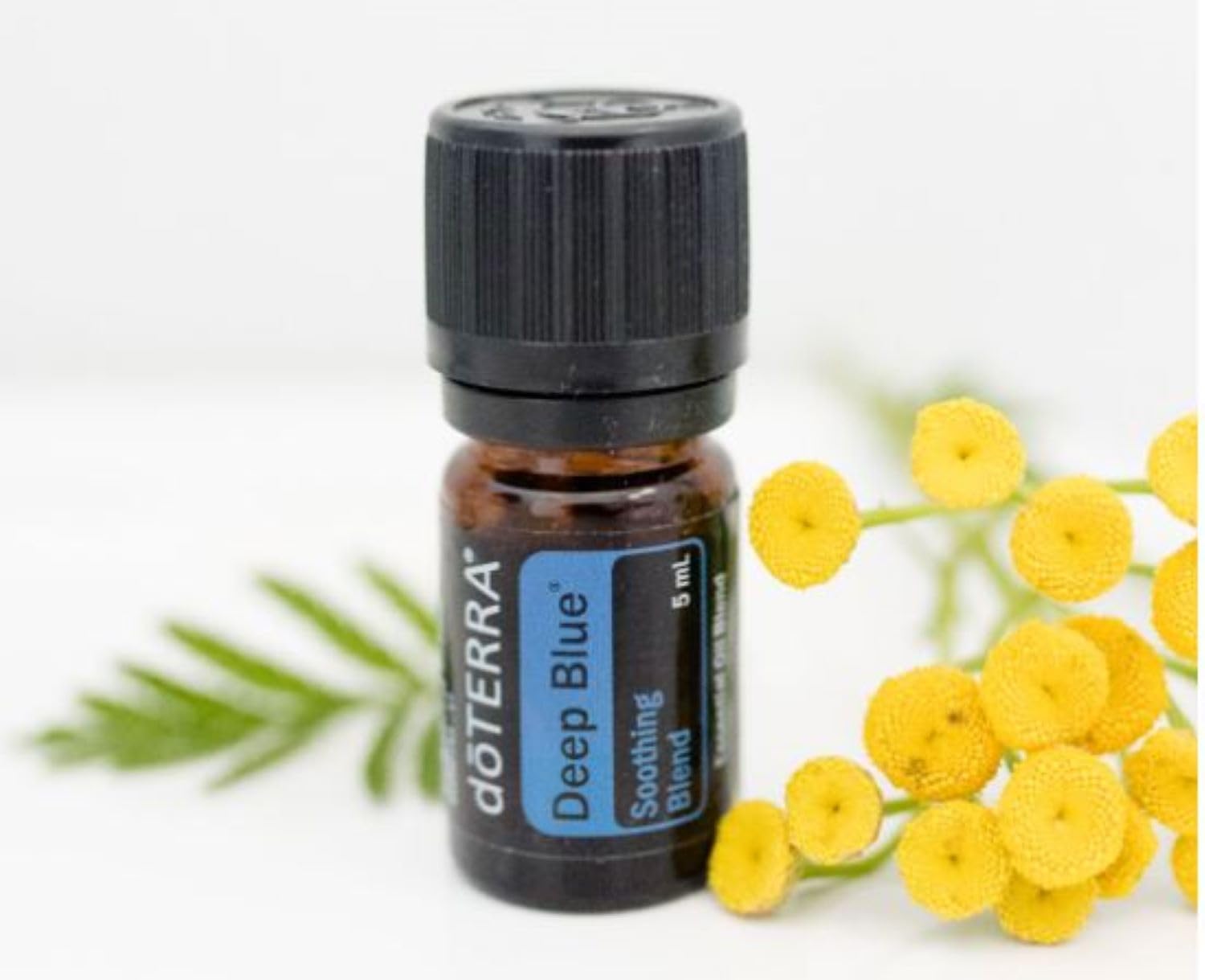 Amazon.com: doTERRA Deep Blue Essential Oil Soothing Blend - 5 ml